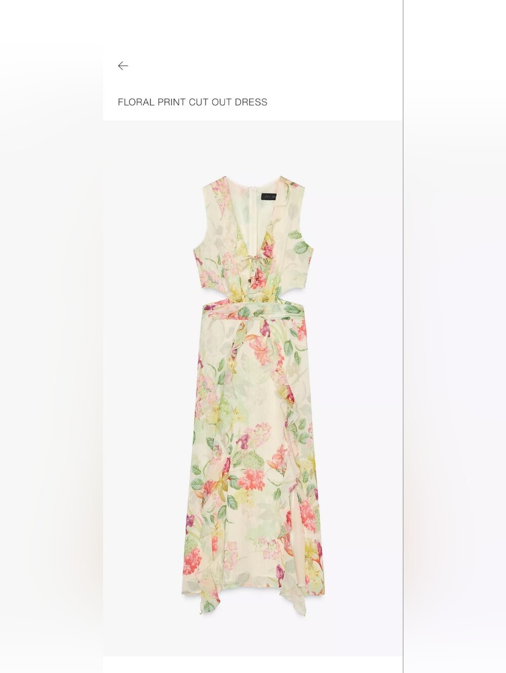 Zara Floral Cut-Out Maxi Dress in Cream, Pink & Green